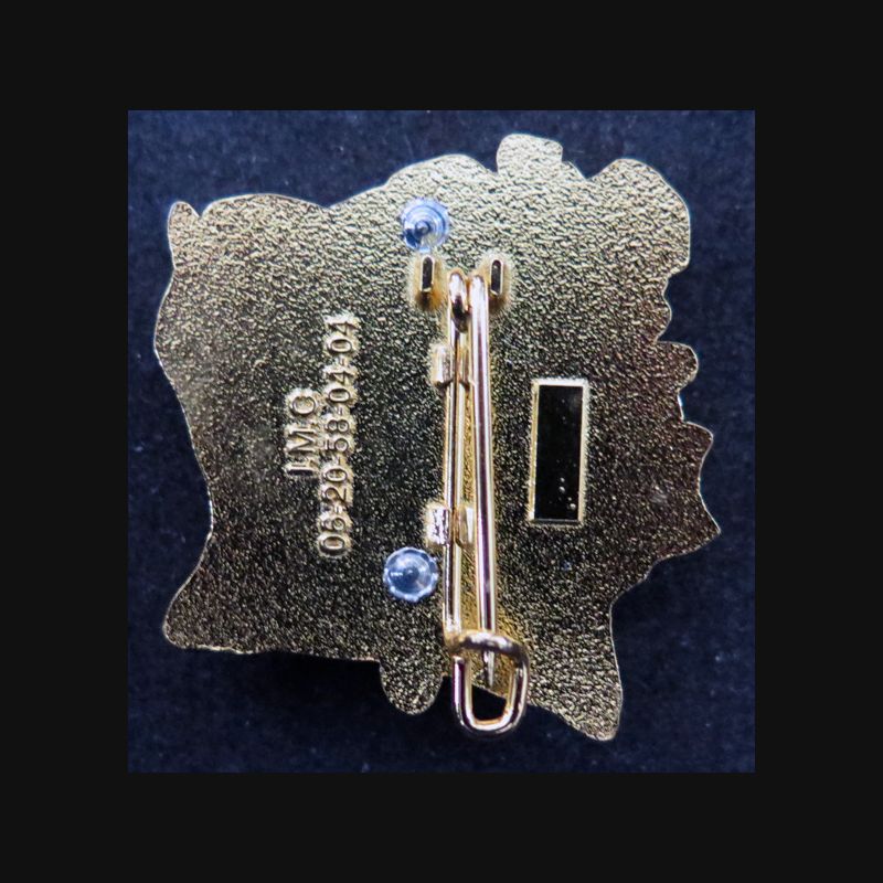 17° RGP insigne de la 4° compagnie RCI XXI° mandat 2021 - 22 IMC