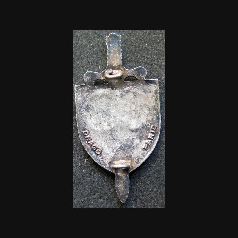 EPS : brevet de moniteur d'éducation physique et sportive Drago argenté