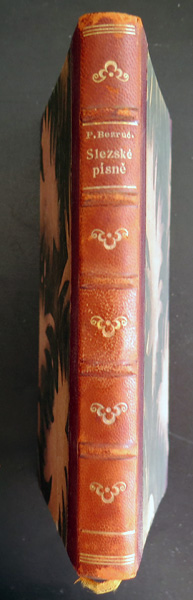 Slezské písne 1928 semi cuir dédicacé écrit en tchèque