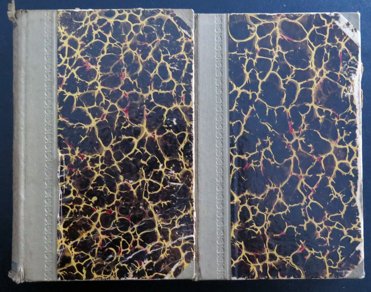 Paire de dictionnaires français Tchèque et Tchèque Français Herzer-Ibl