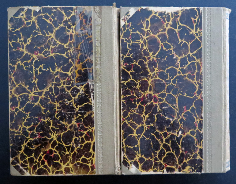 Paire de dictionnaires français Tchèque et Tchèque Français Herzer-Ibl